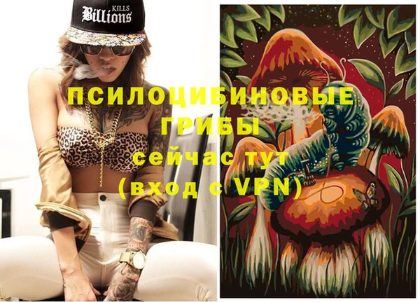 ALPHA PVP Иннополис