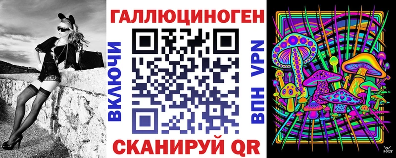 Галлюциногенные грибы прущие грибы  Купить  Строитель 